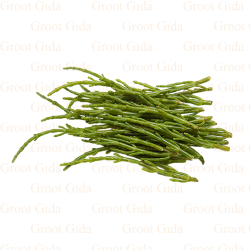 Sea Beans