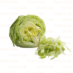 Iceberg Lettuce