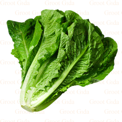 Lettuce