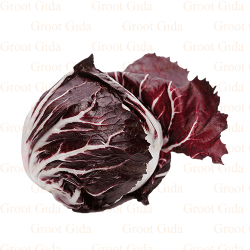 Polorosso (Headed Chicory)