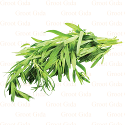 Tarragon